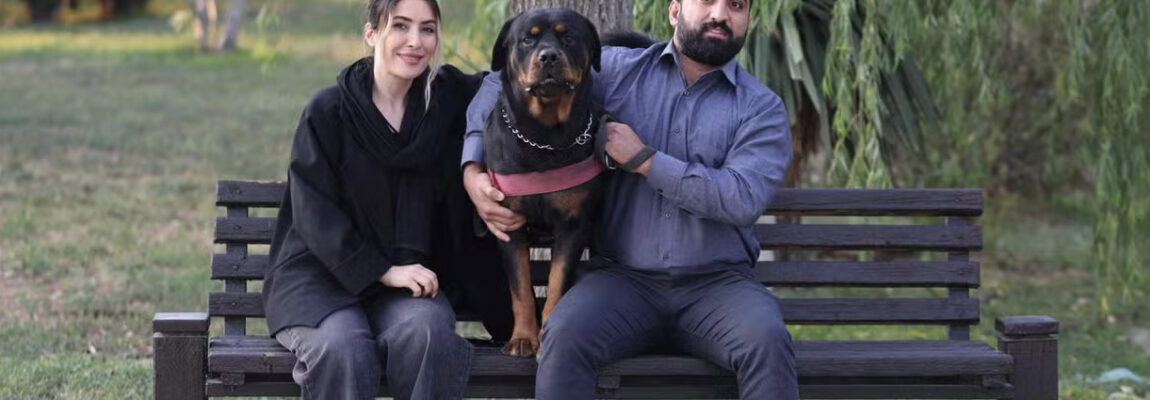 Société. Pourquoi l’Iran s’en prend-il aux personnes qui promènent leur chien ?