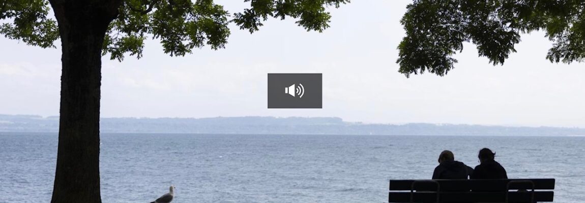 Neuchâtel a publié une cartographie de ses bancs en fonction de leur ensoleillement